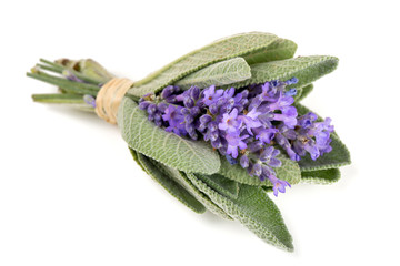 Wall Mural - lavender and sage isolated on white