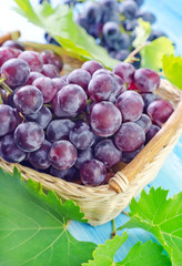 Wall Mural - grape