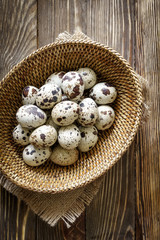 Wall Mural - Quail eggs