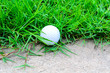 golf ball out off fairway