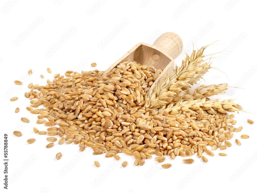 Getreide Bilder Zum Ausmalen - Ausmalbilder für Kinder