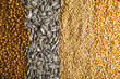 Agricultural grains