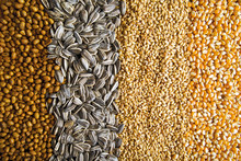 Agricultural Grains