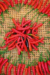 Sticker - Red chili