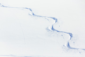Fototapete - Skiing, snow - freeride tracks on powder snow