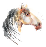 Horse head watercolor painting
