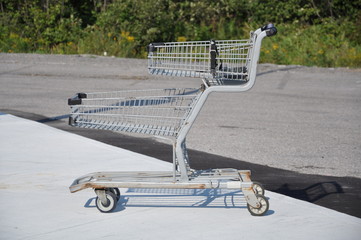 Shopping cart