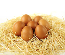 Brown Organic Eggs On Straw