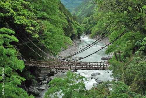 Naklejka samoprzylepna Pont de lianes kazura-bashi a nishi-iya, shikoku, japon