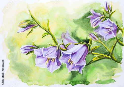 Naklejka - mata magnetyczna na lodówkę Watercolor painting of the bell flowers