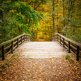 Fototapeta Pomosty - Bridge in autumn forest