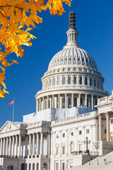 Wall Mural - US Capitol