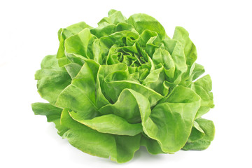 Fresh lettuce isolated on white