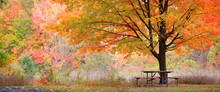 Relaxing Autumn Scene
