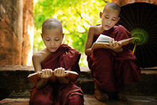  Myanmar Little Monk Reading Book Outside Monastery