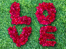 Word Of Love Made From Red Rose Petals On Green Grass Field