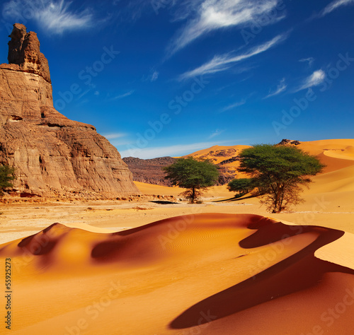 Foto-Flächenvorhang ohne Schienensystem - Sahara Desert, Algeria (von Dmitry Pichugin)