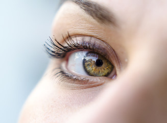 Close-up of a pretty woman's green eye