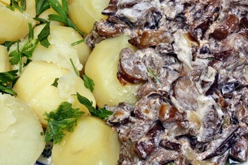 Mushroom sauce with potatoes