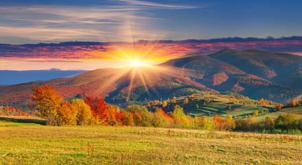 Wall Mural - Colorful autumn landscape in the mountains