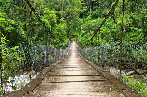 Naklejka most w dżungli   wiszacy-most-dla-pieszych-w-dzungli-ekwadoru