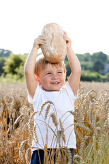 little boy with the bread over your head in the mature grain