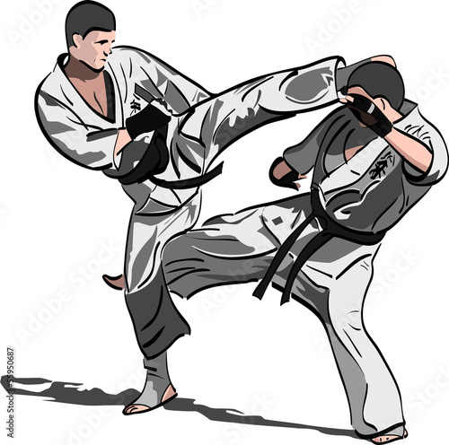Naklejka - mata magnetyczna na lodówkę Karate fight