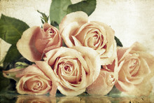Pink Roses Covered With Dew On Vintage Background