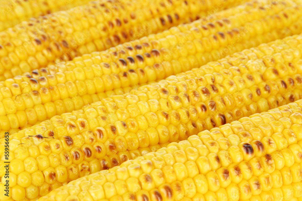 Delicious golden grilled corn close-up