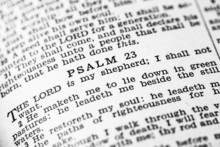 Holy Bible Psalms