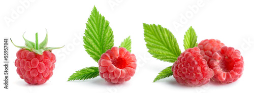 Nowoczesny obraz na płótnie Sweet raspberries
