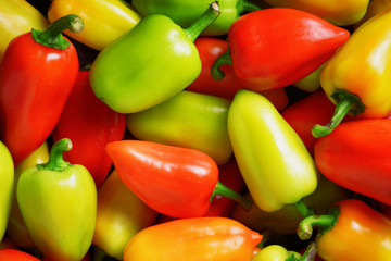 Wall Mural - Fresh sweet peppers. Vegetable background