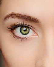 Macro Green Eye Of Beautiful Woman. Closeup Portrait
