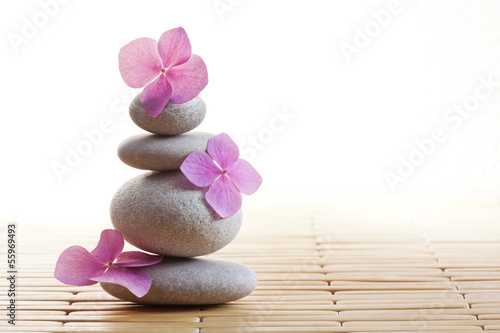 Foto-Vorhang - Zen stones and flowers (von komar.maria)
