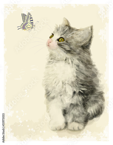 Obraz w ramie Vintage greeting card with fluffy kitten and butterfly. Imitati