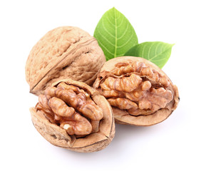 Poster - Walnuts with leaves