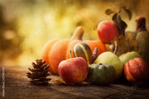 Naklejka na szybę Autumn fruit