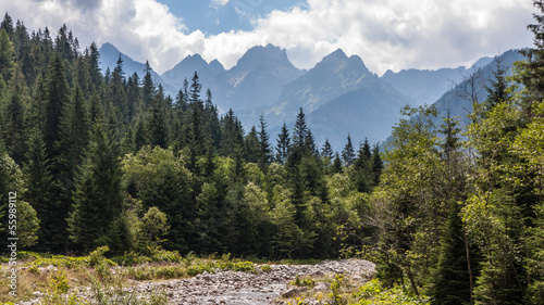 Fotoboard na płycie Bielone doliny w górach tatry