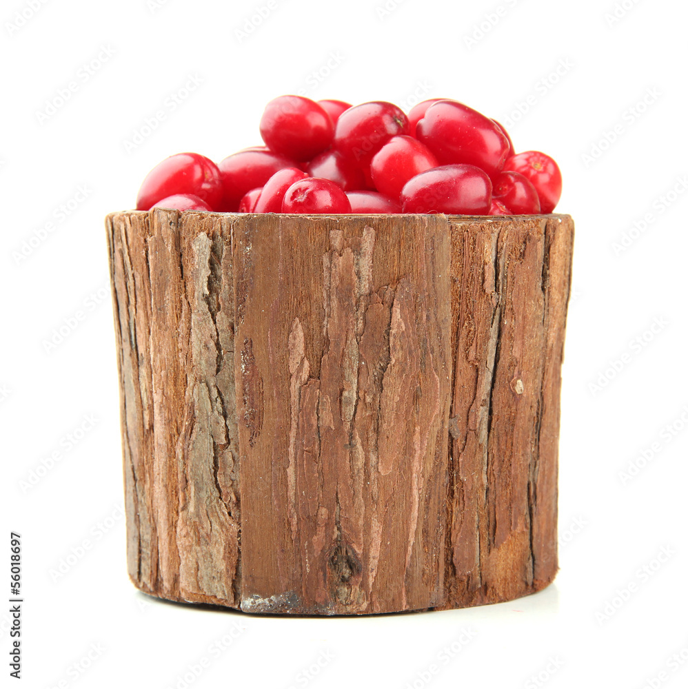 Fresh cornel berries in wooden vase, isolated on white