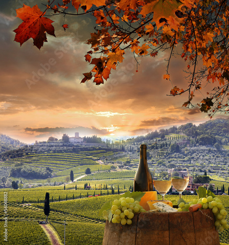Fototapeta na wymiar White wine with barell in vineyard, Chianti, Tuscany, Italy
