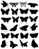 Fototapeta  - Silhouettes of butterflies-vector
