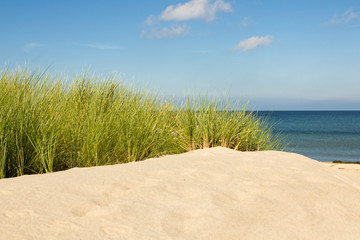 Wall Mural - Urlaub am Meer