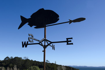 fish weather vane