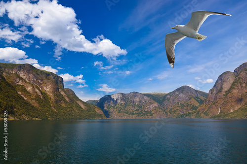 Board z aluminiowym obramowaniem Fjord naeroyfjord w Norwegii - słynna strona unesco