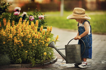 Cute Little Boy Watering Flowers Watering Can