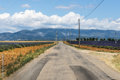 Obraz na płótnie canvas dwuczęściowy "dyptyk" Plateau of valensole (provence), lawenda