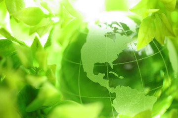 Wall Mural - glass globe in leaves