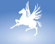 Pegasus Pferd Zeichen