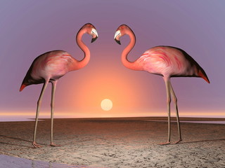 Plakat natura woda flamingo pejzaż słońce