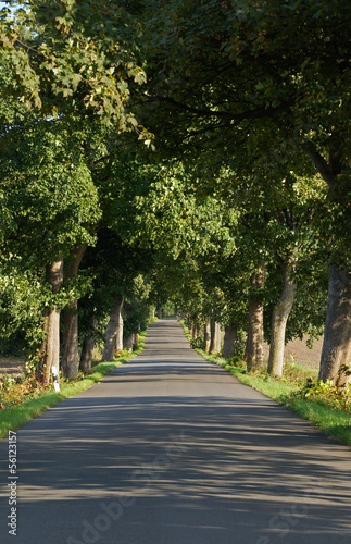 Board z aluminiowym obramowaniem Allee